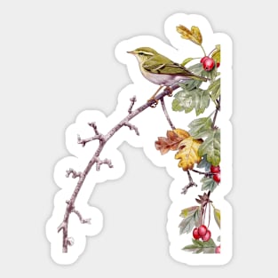 Yellow-browed Warbler watercolour Sticker